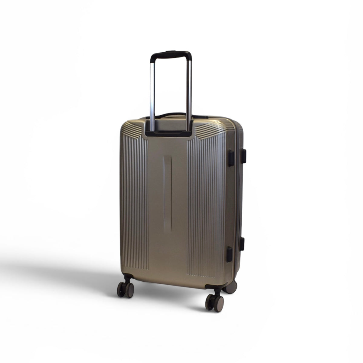 Valise Medium Plume - Argent