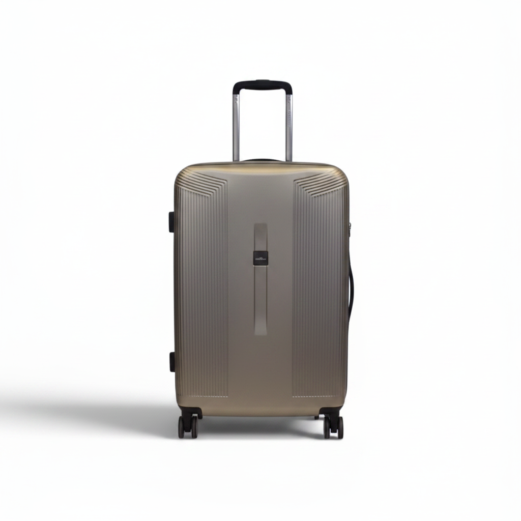 Valise Medium Plume - Argent