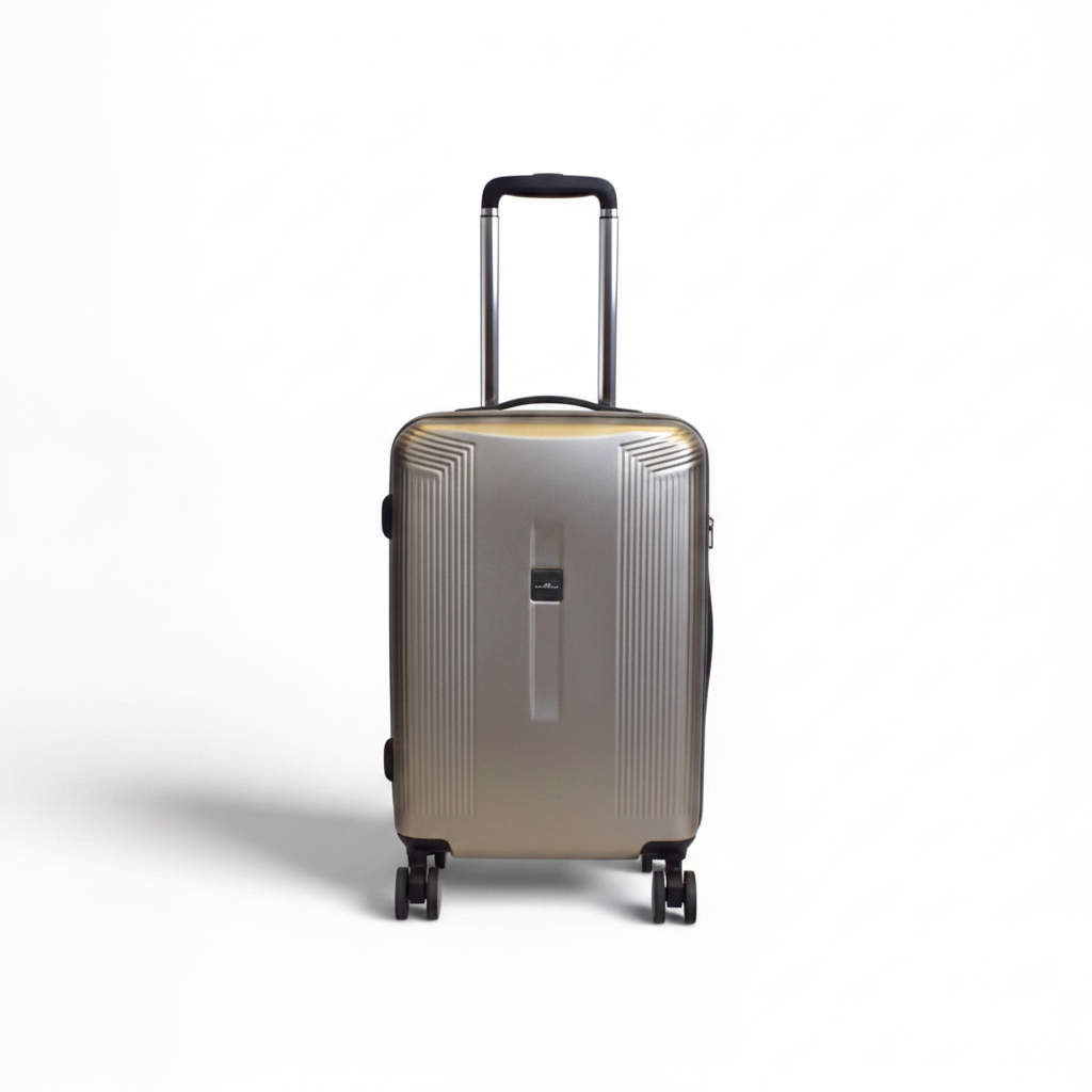 Valise cabine Plume - Argent